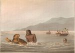 pesca-de-la-tortuga