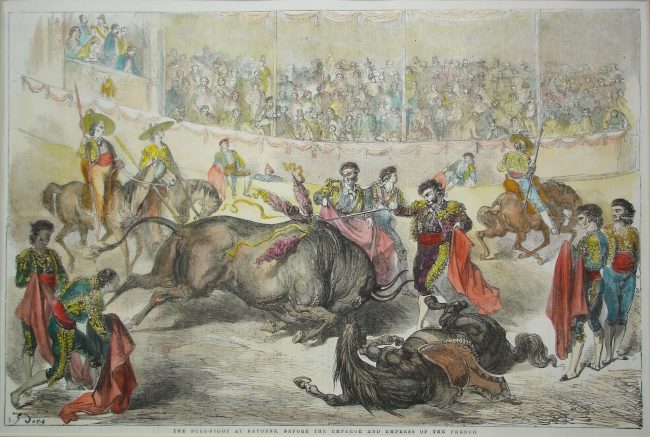 Toros / Bullfighting